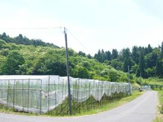 DSC01809-1.JPG